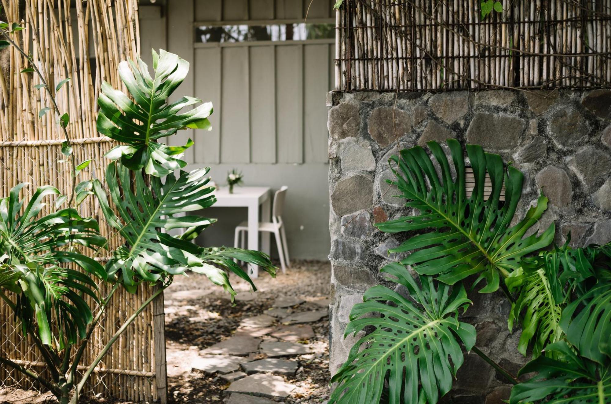 Bed and Breakfast Anzan Atitlan San Marcos La Laguna Exterior foto